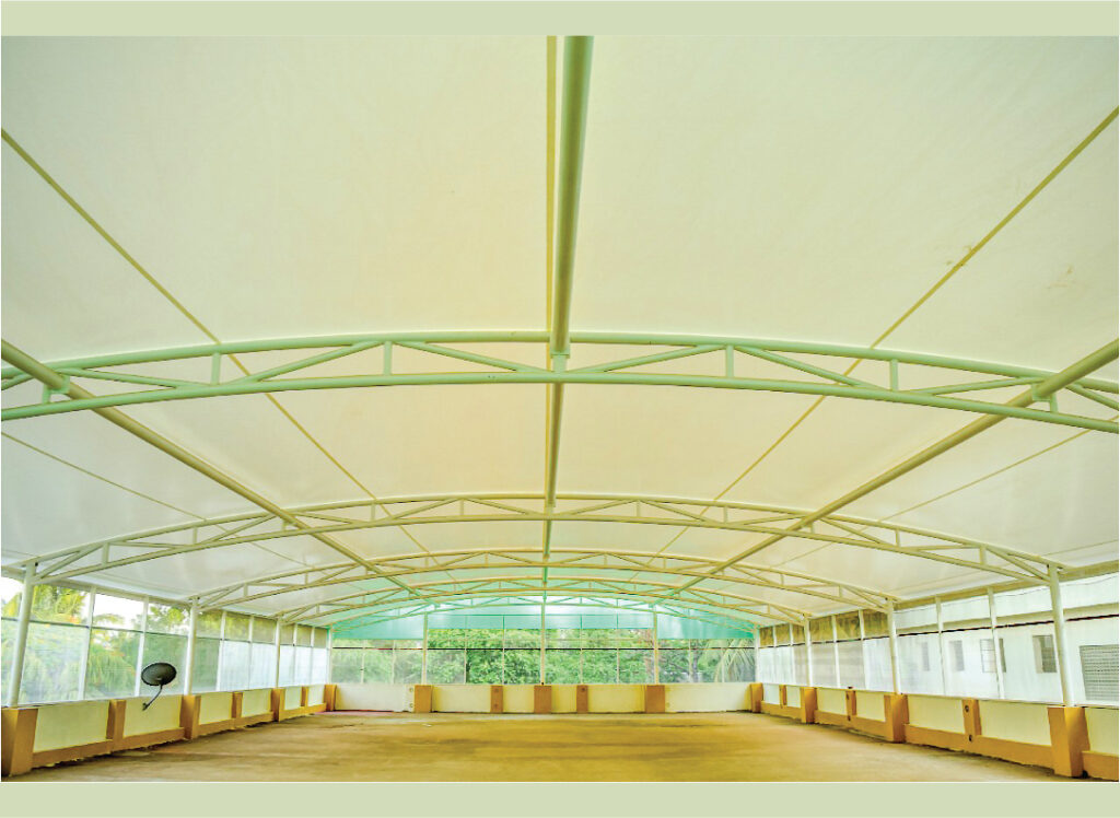 TERRACE TENSILE at Infinite structure